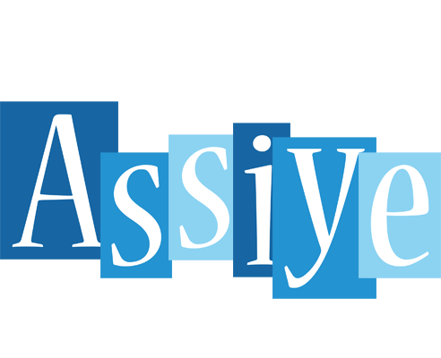 Assiye winter logo