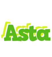 Asta picnic logo