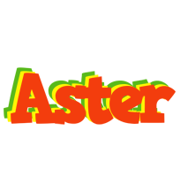 Aster bbq logo