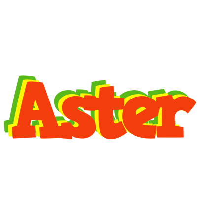 Aster bbq logo