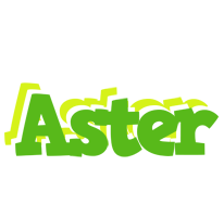 Aster picnic logo