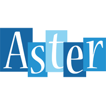 Aster winter logo