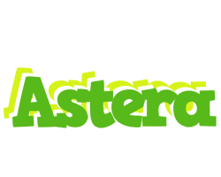 Astera picnic logo