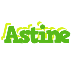 Astine picnic logo