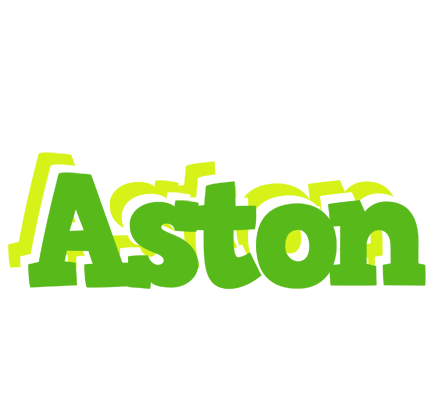 Aston picnic logo