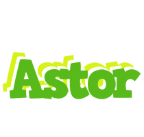 Astor picnic logo