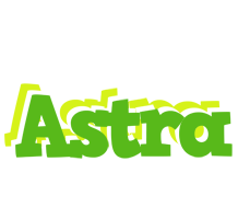 Astra picnic logo