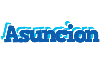 Asuncion business logo