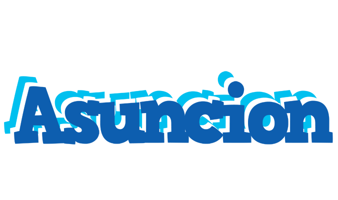 Asuncion business logo