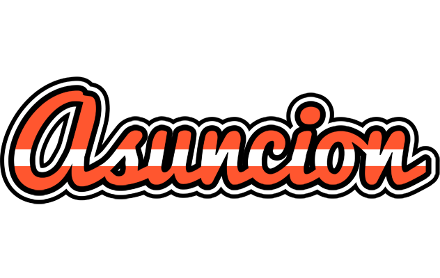 Asuncion denmark logo