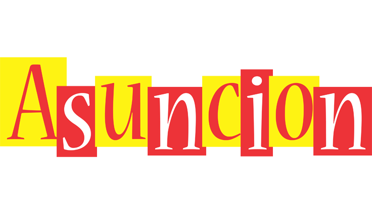 Asuncion errors logo