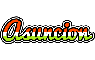 Asuncion exotic logo