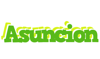 Asuncion picnic logo