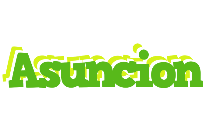 Asuncion picnic logo