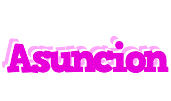 Asuncion rumba logo