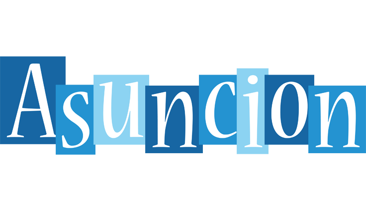 Asuncion winter logo