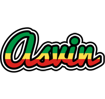 Asvin african logo