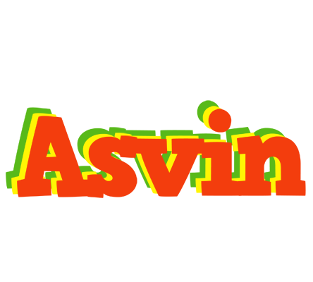 Asvin bbq logo