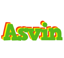 Asvin crocodile logo