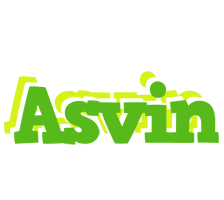 Asvin picnic logo