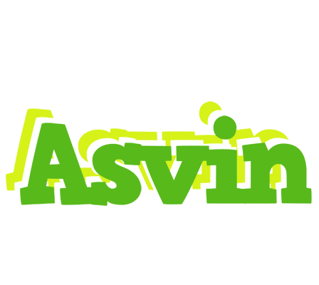 Asvin picnic logo