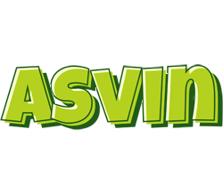 Asvin summer logo