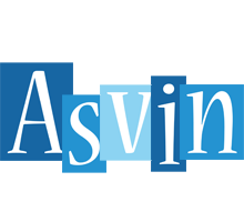 Asvin winter logo