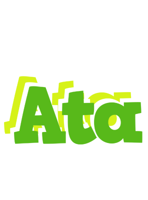 Ata picnic logo