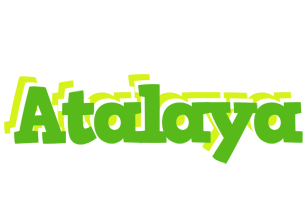 Atalaya picnic logo