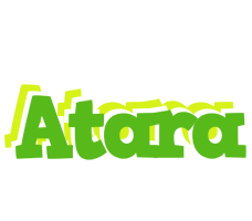 Atara picnic logo