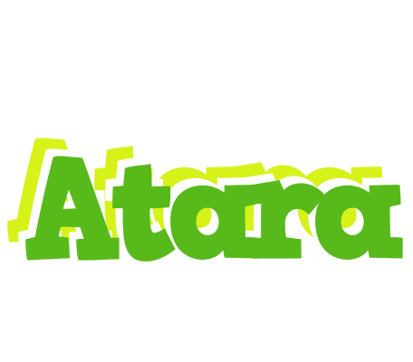 Atara picnic logo
