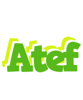 Atef picnic logo