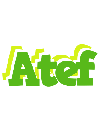 Atef picnic logo