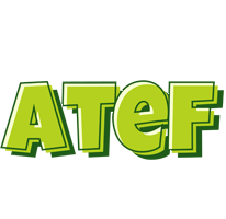 Atef summer logo