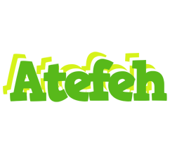 Atefeh picnic logo