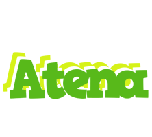 Atena picnic logo