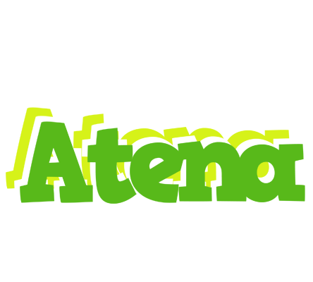 Atena picnic logo