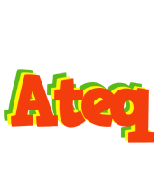 Ateq bbq logo