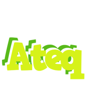 Ateq citrus logo