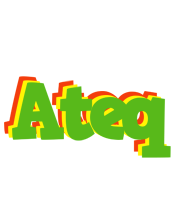 Ateq crocodile logo