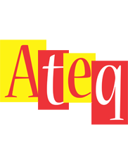 Ateq errors logo