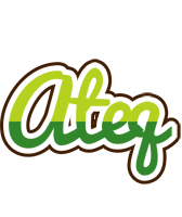 Ateq golfing logo