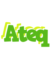 Ateq picnic logo