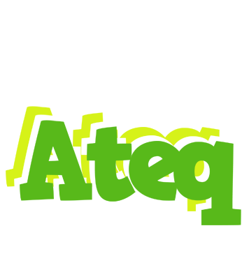 Ateq picnic logo
