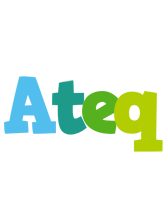 Ateq rainbows logo