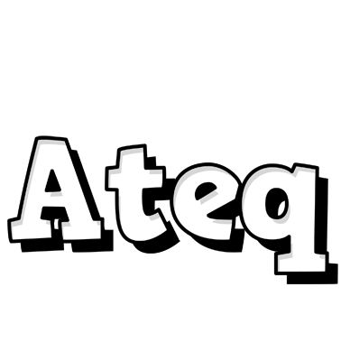 Ateq snowing logo