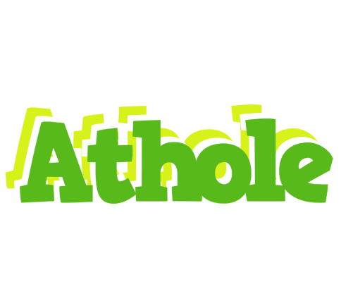 Athole picnic logo