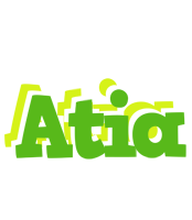 Atia picnic logo