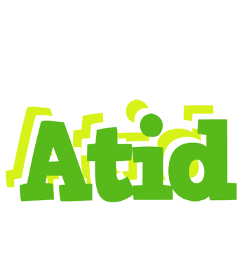 Atid picnic logo
