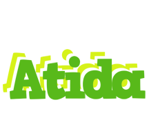 Atida picnic logo